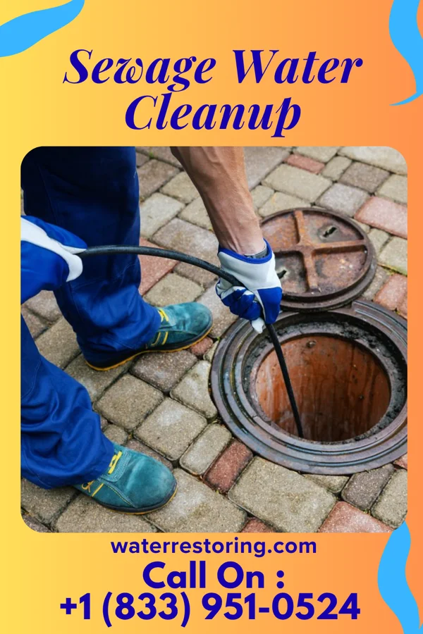 Sewage Water Cleanup in San Bruno, CA
